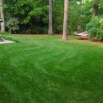 Large Private Backyard